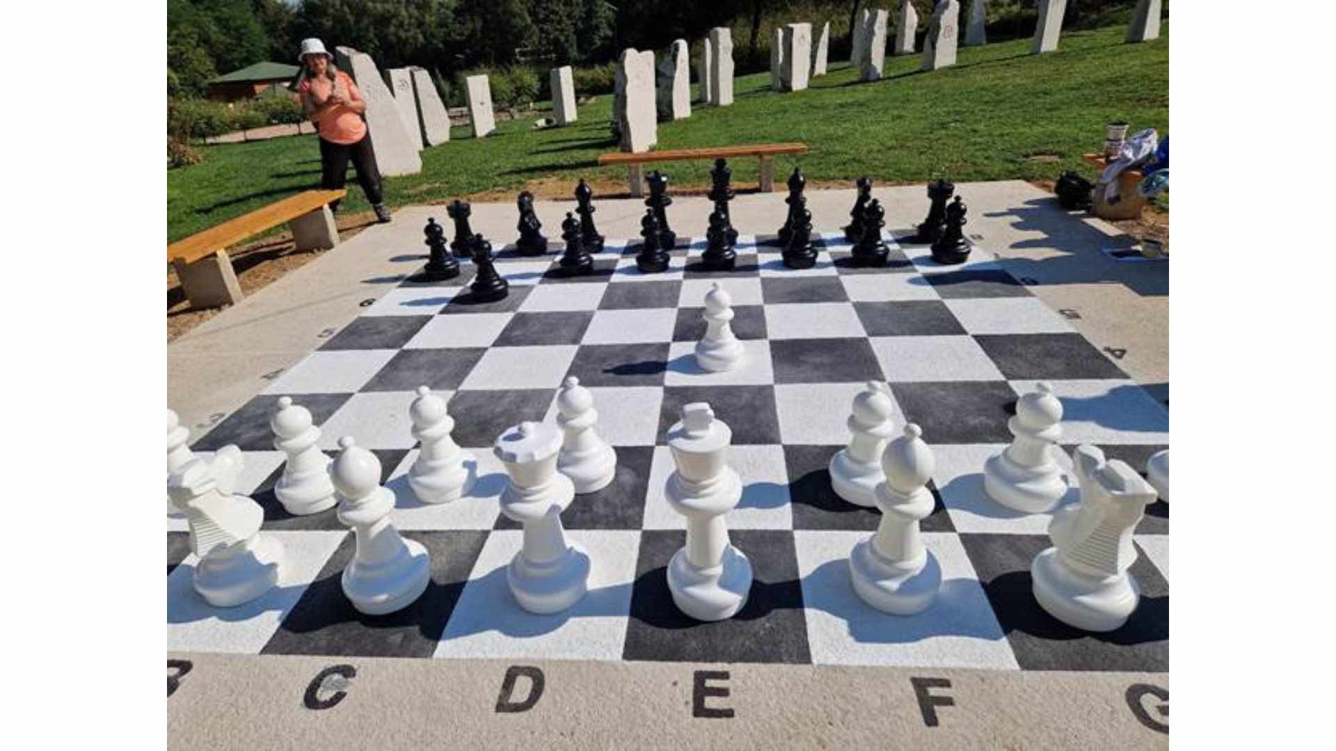 Read more about the article New content in the park “Ravne 2” – chess